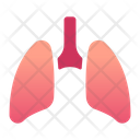 پیش‌نمایش فایل lung-1408609 از پک پزشکی