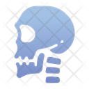 پیش‌نمایش فایل skull-1408603 از پک پزشکی