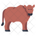 پیش‌نمایش فایل beef-cow-1594722 از پک کشاورزی