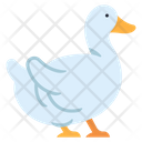 پیش‌نمایش فایل duck-1594747 از پک کشاورزی