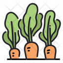 پیش‌نمایش فایل carrot-1594769 از پک کشاورزی