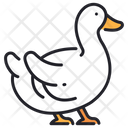 پیش‌نمایش فایل duck-1594765 از پک کشاورزی