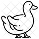 پیش‌نمایش فایل duck-1594798 از پک کشاورزی