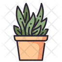پیش‌نمایش فایل plant-1594842 از پک فضا اداری