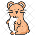 پیش‌نمایش فایل hamster-1408749 از پک فروشگاه حیوانات خانگی