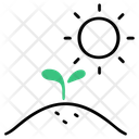 پیش‌نمایش فایل 6-plant-and-sunlight-12770313 از پک مینیمال گیاه