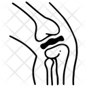 پیش‌نمایش فایل bones-12770460 از پک اندام‌ها داخلی