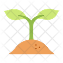 پیش‌نمایش فایل plant-growth-1595019 از پک نجات جهان
