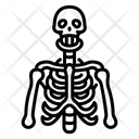 پیش‌نمایش فایل skeleton-2054705 از پک بدن انسان