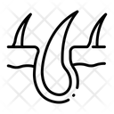 پیش‌نمایش فایل skin-hair-2054698 از پک بدن انسان