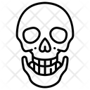 پیش‌نمایش فایل skull-2054717 از پک بدن انسان