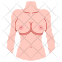 پیش‌نمایش فایل body-female-2054675 از پک بدن انسان