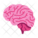 پیش‌نمایش فایل brain-2054639 از پک بدن انسان