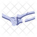 پیش‌نمایش فایل broken-bone-2054650 از پک بدن انسان