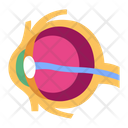 پیش‌نمایش فایل eye-2054638 از پک بدن انسان