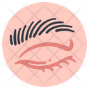 پیش‌نمایش فایل eyebrow-2054684 از پک بدن انسان