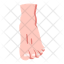 پیش‌نمایش فایل foot-2054663 از پک بدن انسان