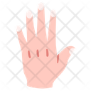 پیش‌نمایش فایل hand-2054666 از پک بدن انسان