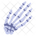 پیش‌نمایش فایل hand-bone-2054656 از پک بدن انسان