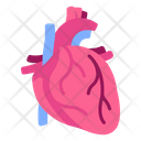 پیش‌نمایش فایل heart-2054648 از پک بدن انسان