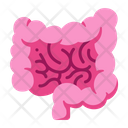 پیش‌نمایش فایل intestine-2054647 از پک بدن انسان