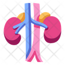 پیش‌نمایش فایل kidneys-2054646 از پک بدن انسان