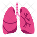پیش‌نمایش فایل lung-2054644 از پک بدن انسان