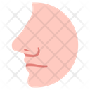 پیش‌نمایش فایل nose-2054688 از پک بدن انسان