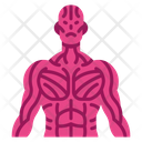 پیش‌نمایش فایل sinews-muscle-2054637 از پک بدن انسان