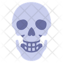 پیش‌نمایش فایل skull-2054661 از پک بدن انسان
