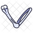 پیش‌نمایش فایل arm-bone-2054605 از پک بدن انسان