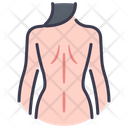 پیش‌نمایش فایل back-female-2054621 از پک بدن انسان