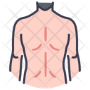 پیش‌نمایش فایل back-male-2054622 از پک بدن انسان