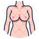پیش‌نمایش فایل body-female-2054623 از پک بدن انسان