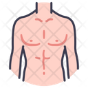 پیش‌نمایش فایل body-male-2054625 از پک بدن انسان