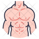 پیش‌نمایش فایل body-male-muscle-2054626 از پک بدن انسان