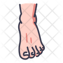 پیش‌نمایش فایل foot-2054611 از پک بدن انسان