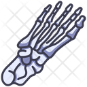 پیش‌نمایش فایل foot-bone-2054600 از پک بدن انسان