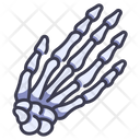 پیش‌نمایش فایل hand-bone-2054604 از پک بدن انسان