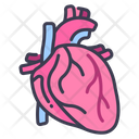پیش‌نمایش فایل heart-2054596 از پک بدن انسان