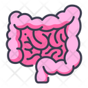پیش‌نمایش فایل intestine-2054595 از پک بدن انسان