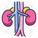 پیش‌نمایش فایل kidneys-2054594 از پک بدن انسان
