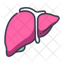 پیش‌نمایش فایل liver-2054593 از پک بدن انسان