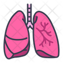پیش‌نمایش فایل lung-2054592 از پک بدن انسان