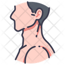 پیش‌نمایش فایل neck-2054627 از پک بدن انسان