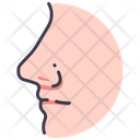 پیش‌نمایش فایل nose-2054581 از پک بدن انسان