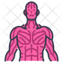 پیش‌نمایش فایل sinews-muscle-2054585 از پک بدن انسان