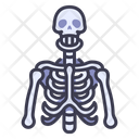پیش‌نمایش فایل skeleton-2054597 از پک بدن انسان