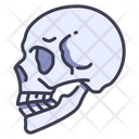 پیش‌نمایش فایل skull-2054608 از پک بدن انسان