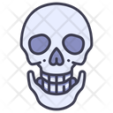 پیش‌نمایش فایل skull-2054609 از پک بدن انسان
